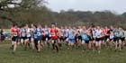 Start of the under-17 mens Northern Cross Country Champs, Knowsley Safari Park. Photo: David T. Hewitson/Sports for All Pics